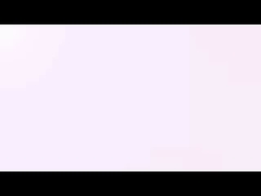 Doppelter Wellen-Reißwolf